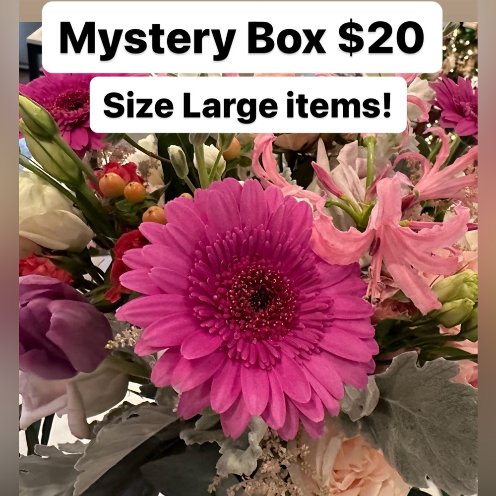 Mystery Box! 3 size large items.